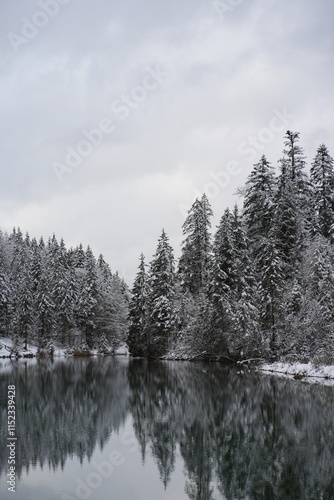 winter, ski, natur, schnee, wald, erkältung, landschaft, -tannen, föhre, jahreszeit, berg, gefroren, weiß