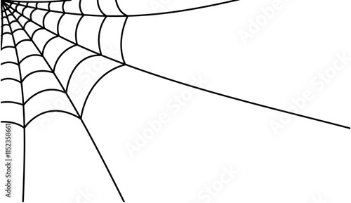 spider web, spider cobweb decoration