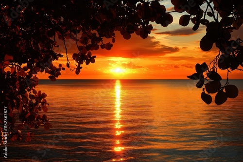 Tranquil Sunset Over Calm Waters Framed by Branches in Silhouette, Casting Golden Reflection on Serene Ocean Surface