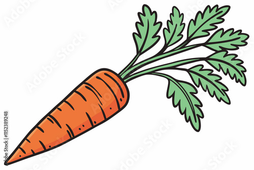 Carrot , A pointed root with leafy greens on top vector silhouette on a white background