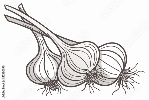 Garlic Silhouette: Cluster of Cloves with Wispy Roots on White Background