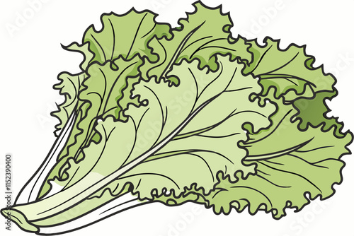 Lettuce Silhouette: Frilly Layered Leaves Forming a Loose Head on White Background