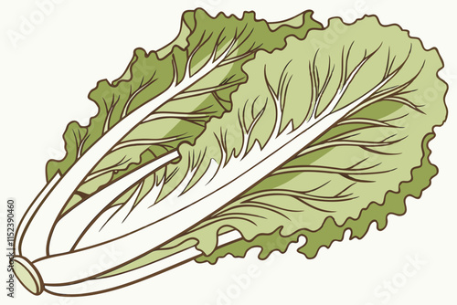 Lettuce Silhouette: Frilly Layered Leaves Forming a Loose Head on White Background