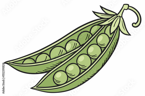 Peas vector Silhouette: Curved Pod with Visible Rounded Peas on White Background