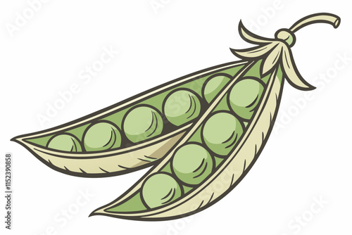 Peas vector Silhouette: Curved Pod with Visible Rounded Peas on White Background