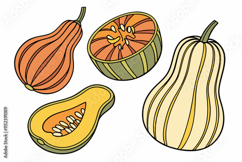 Squash vector Silhouette: Varied Shapes with Ridges on White Background