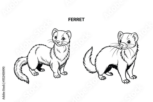 Editable Ferret Isolated Outline Vector Illustration