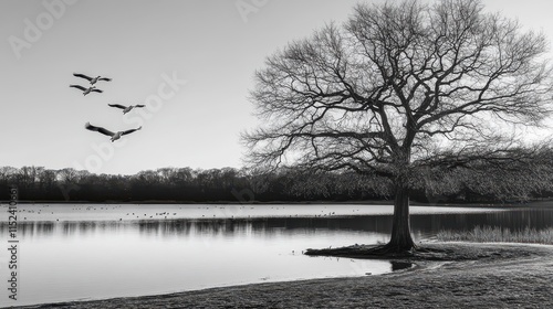 Flying geese and a tree in b&w