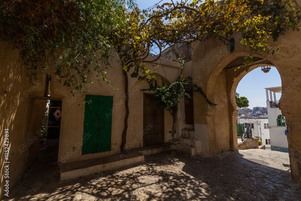 Fototapeta premium narrow alleyway leading to a hidden courtyard with a stone archw