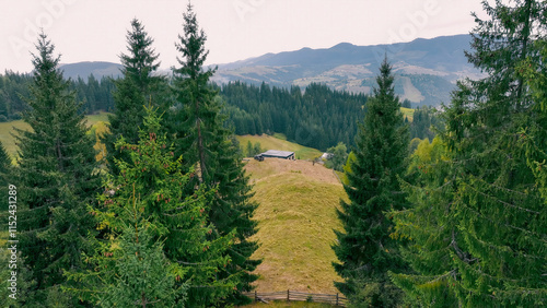 Remote cabin in scenic mountain valley. A small cabin is nestled on a grassy hill surrounded by tall evergreen trees, with expansive mountain views in the background.