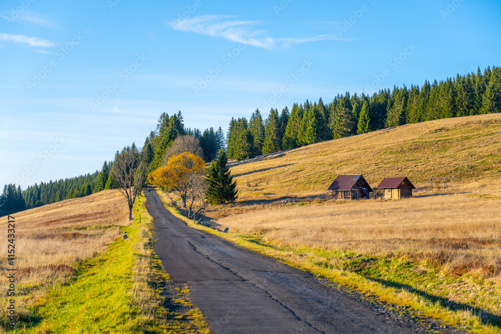 Fototapeta premium A tranquil road meanders through the golden autumn landscape of the Ore Mountains, contrasting with vibrant trees and rustic cottages under a bright blue sky.