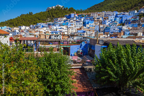 hillside town with predominantly blue and white buildings cascades down a slope, framed by green trees and foliage in the foreground under a clear blue sky photo