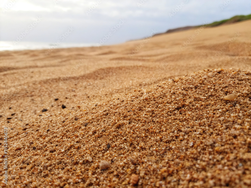 sand on the beach. field, landscape, sky, agriculture, nature, land, rural, soil, sand, ground, plowed, horizon, dirt, beach, blue, farm, summer, desert, earth, spring, cultivated, farming, dry, brown sand on the beach. field, landscape, sky, agriculture, nature, land, rural, soil, sand, ground, plowed, horizon, dirt, beach, blue, farm, summer, desert, earth, spring, cultivated, farming, dry, brown