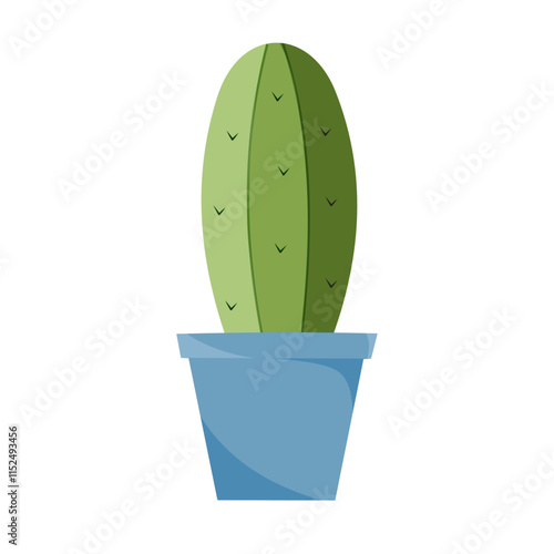 cactus in a pot