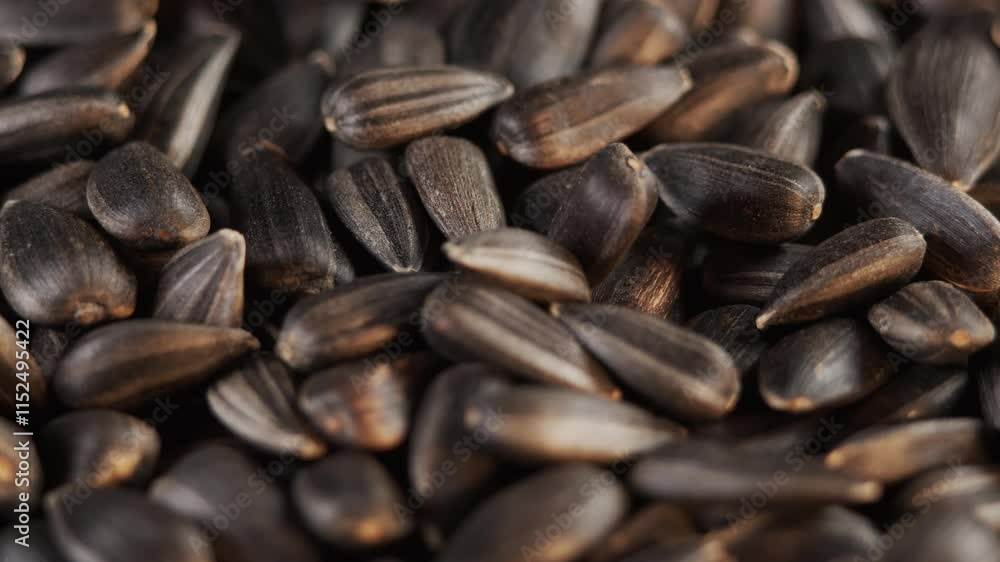Pouring sunflower seeds. Close-up of sunflower seed fall. Dried Sunflower Seeds Falling in Slow Motion Close Up. Background from Natural Products Pouring sunflower seeds. Close-up of sunflower seed fall. Dried Sunflower Seeds Falling in Slow Motion Close Up. Background from Natural Products
