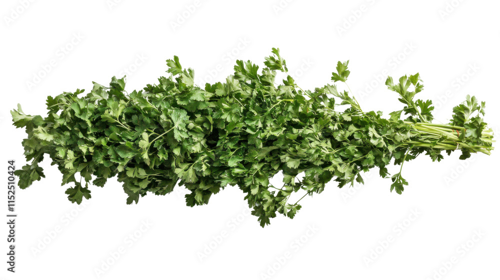 Parsley, transparent background Parsley, transparent background