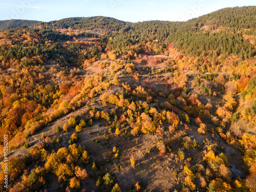 Rhodope mountain near village of Borovo, Bulgaria photo