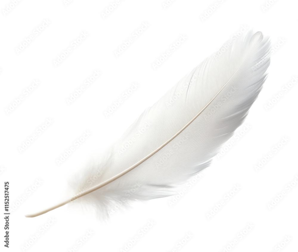 Delicate white feather showcasing fine details and natural texture. Isolated on transparent background, png. Delicate white feather showcasing fine details and natural texture. Isolated on transparent background, png.
