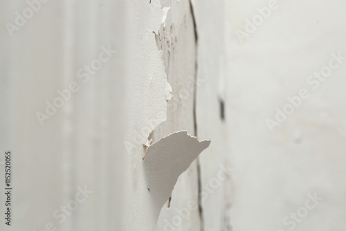 Obraz na plátne Saltpeter or mold on the wall, Closeup of wall stained with water infiltration