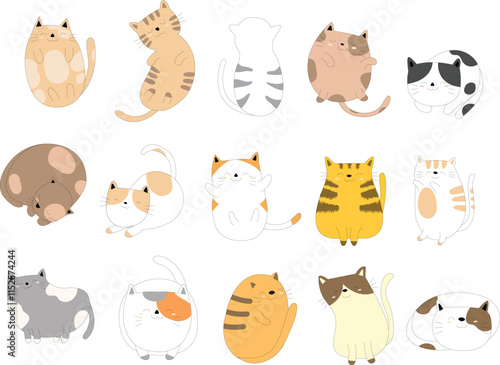 set of animals