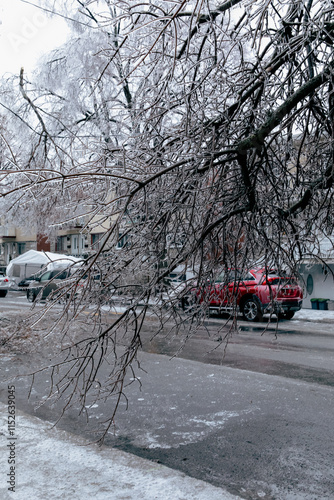 Wallpaper Mural view of a street with a tree branch covered in ice on a cloudy day after a storm Torontodigital.ca