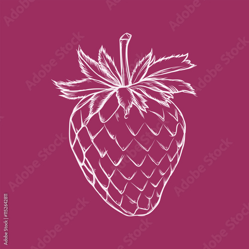 Minimalist illustration of a strawberry, focusing on its essential form and capturing its essence