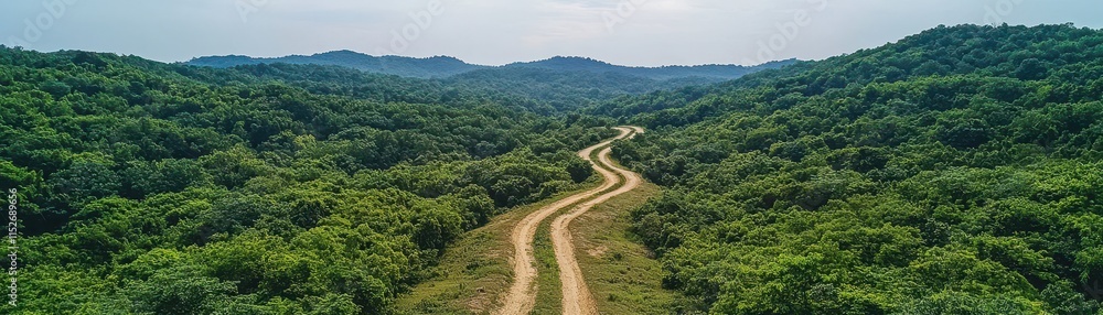 Fototapeta premium Aerial view of a winding dirt road surrounded by lush green forested hills under a bright sky