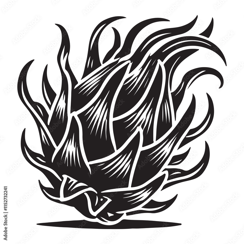 Dragon Fruit Silhouette Vector Illustration, Solid White Background. Dragon Fruit Silhouette Vector Illustration, Solid White Background.
