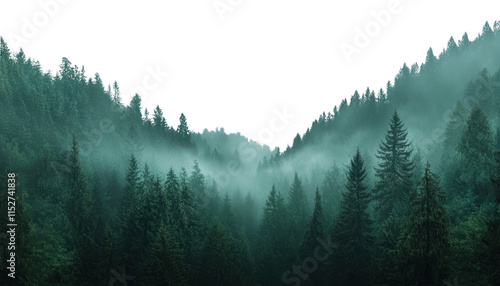 Fototapeta Naklejka Na Ścianę i Meble -  PNG Misty forest mountains with pine trees landscape nature outdoors.