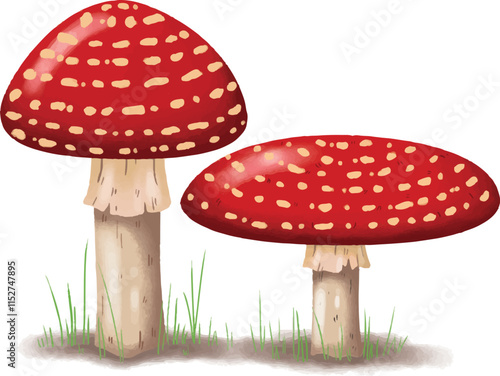 Red fly agaric mushroom in a forest surrounded by moss and grass in autumn