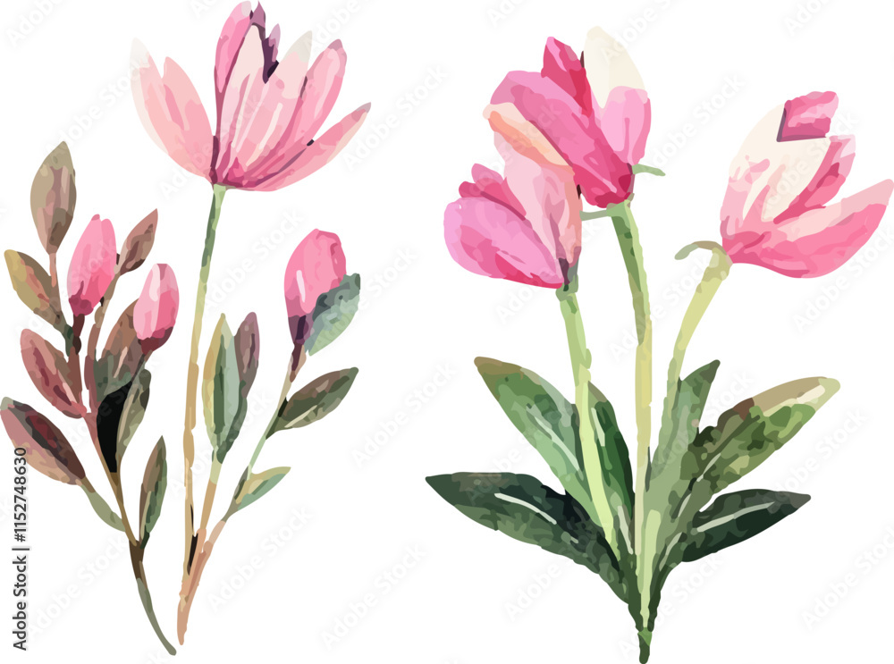bouquet of pink tulips
