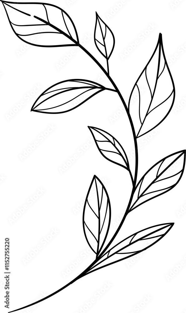 Fototapeta premium Hand drawn Flowers and Plants