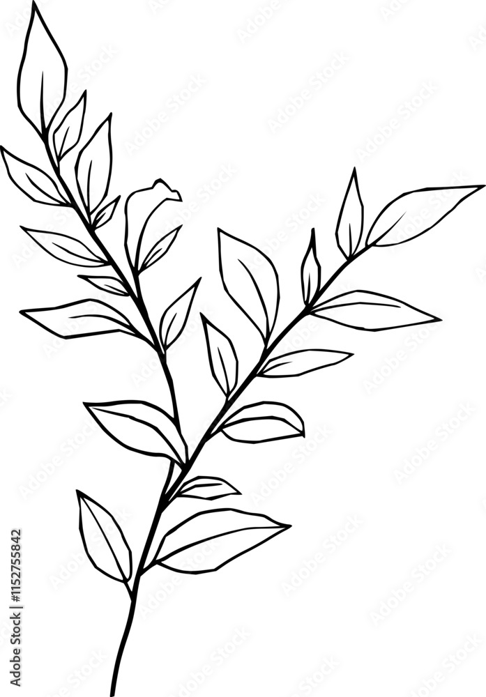 Fototapeta premium Hand drawn Flowers and Plants