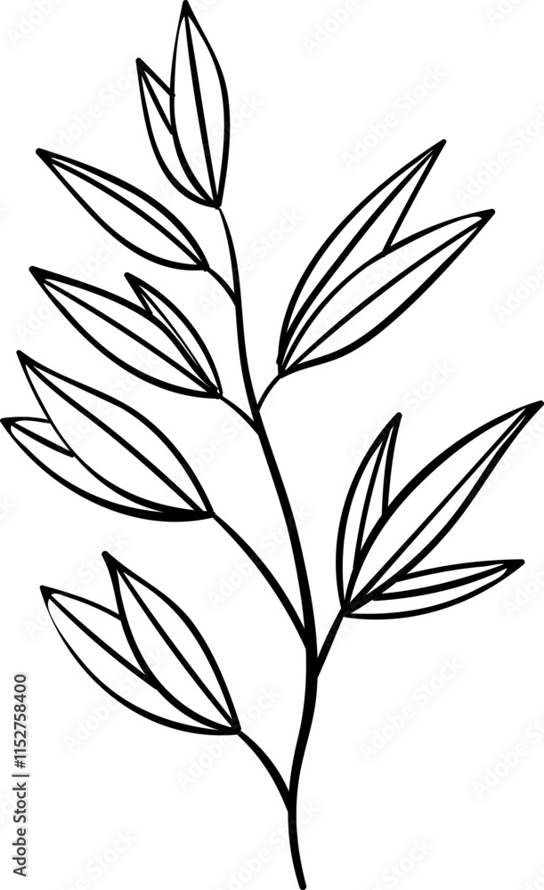 Hand drawn Flowers and plants Hand drawn Flowers and plants