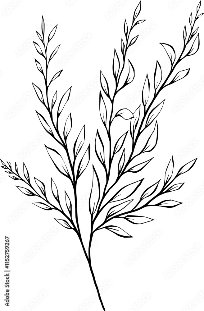 Hand drawn Flowers and plants Hand drawn Flowers and plants