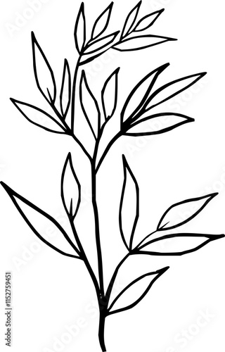 Hand drawn Flowers and plants