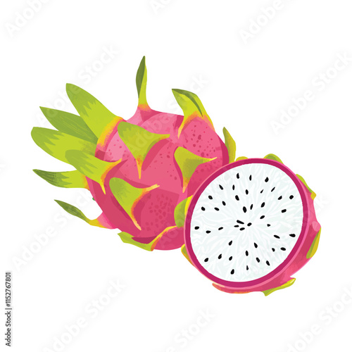 Vibrant vector illustration of dragonfruit. Perfect for print and digital designs