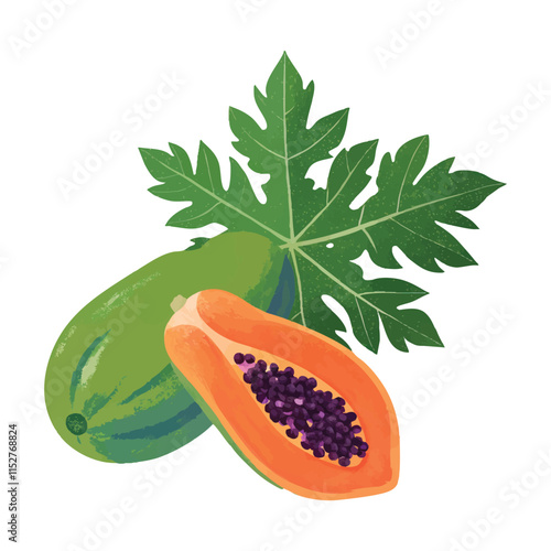 Vibrant vector illustration of Papaya. Perfect for print and digital designs