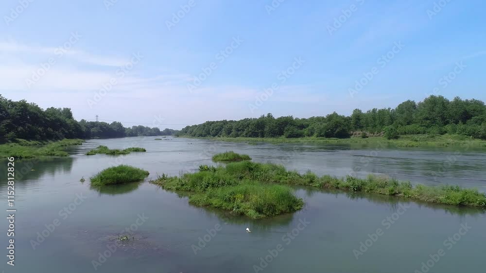 Explore wetland ecology through aerial photography showcasing vibrant natural landscapes and rich biodiversity in serene environments Explore wetland ecology through aerial photography showcasing vibrant natural landscapes and rich biodiversity in serene environments