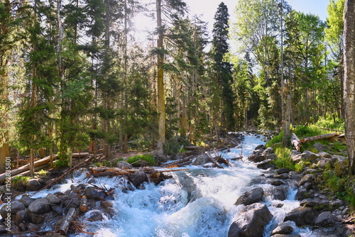 Sunny morning on the bank of the mountain river Ullu-Muruju photo