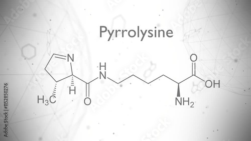 Pyrrolysine chemical formula. Pyrrolysine amino acid molecular bond structure. Medicine and biosynthesis study. 3D render. photo