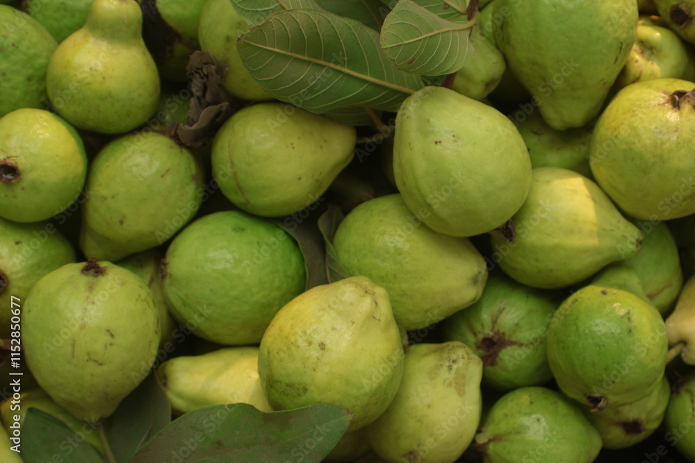 Close-up photo of guavas in market. Fruits background. Texture green guava.,fresh guava background Close-up photo of guavas in market. Fruits background. Texture green guava.,fresh guava background