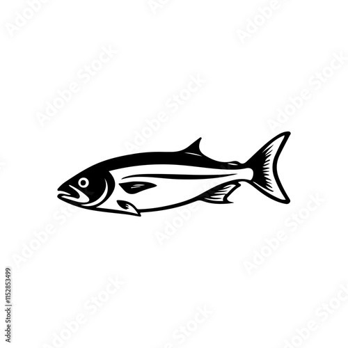 Fish Illustration