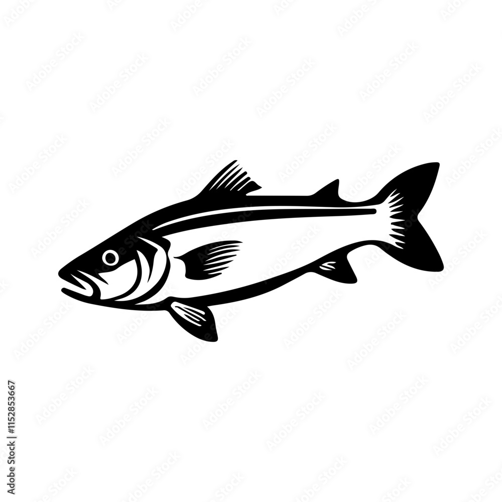 Fish Illustration Fish Illustration