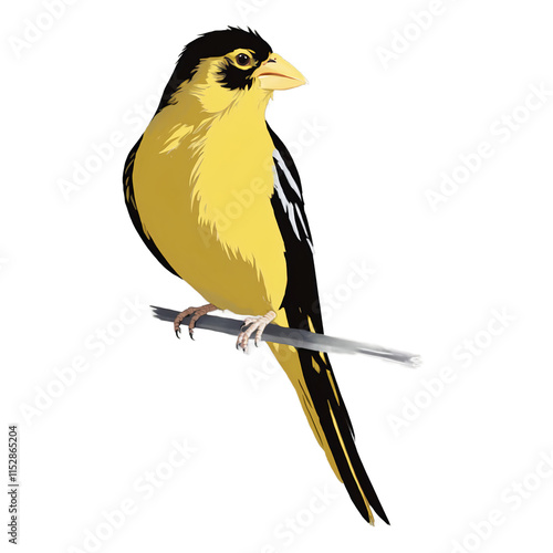 Cheerful Yellow Canary Portrait: Vibrant Songbird Illustration with Detailed Feathers and Natural Perch - Premium Vector Bird Art photo