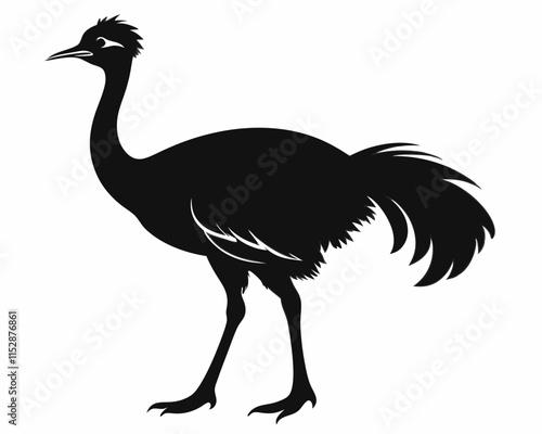 silhouette of Emu vector on white background