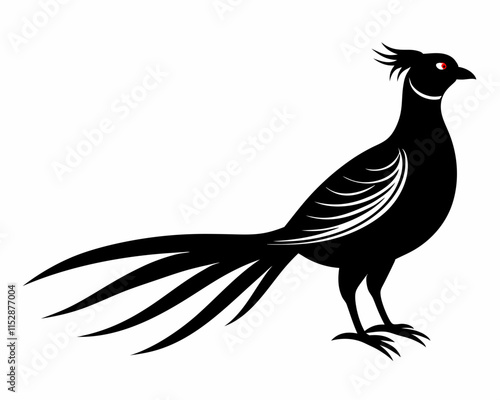 silhouette of Pheasant vector on white background