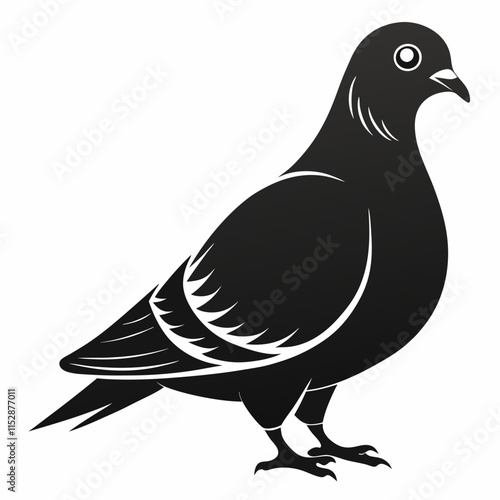 silhouette of Pigeon vector on white background