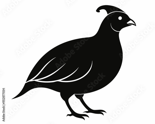 silhouette of Quail vector on white background