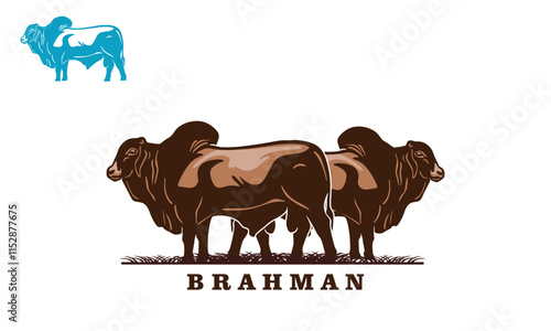 great brahman cattle standing logo, silhouette of big and healthy cow vector illustrations
